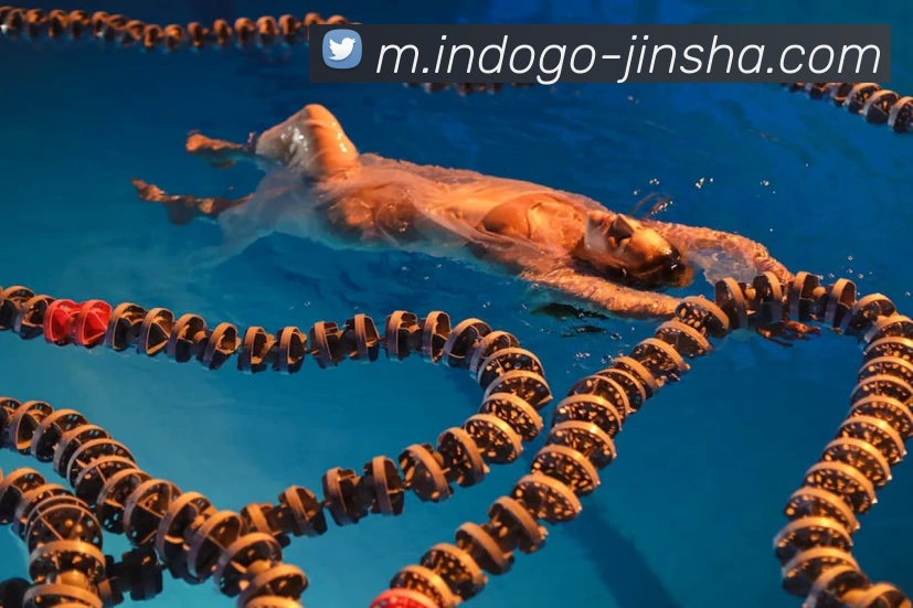 澳门金沙官网平台生态图