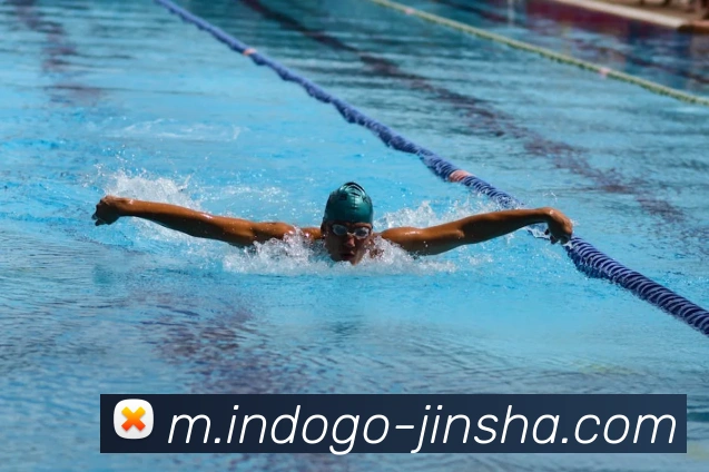 澳门金沙官网APP 封面图