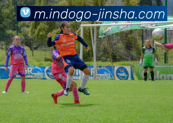 数据防护可视化